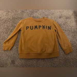 Little Co Pumpkin Fall Thanksgiving Sweatshirt